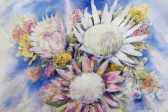 Fynbos