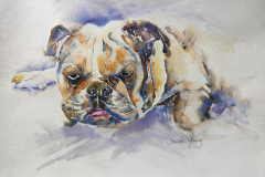Lily - COMMISSION NOT AVAILABLE