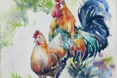Rainbow Rooster