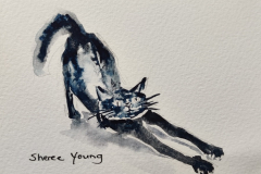 Stretchy Cat