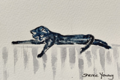 Radiator Cat