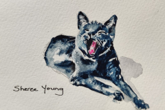 Yawning Cat