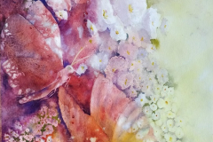 Butterflies & Blossoms