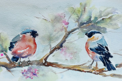 Bullfinch in the Branches - SOLD