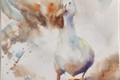 Quacking Quirky VS 1 - SOLD