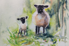 Here's looking at Ewe