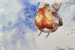 Little Robin Redbreast