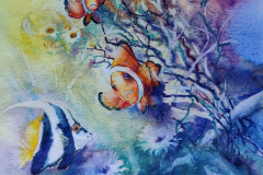 Clowning Around in  Coral