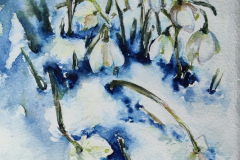 Icy Snowdrops